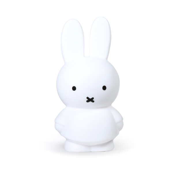 money-box-large-white-front